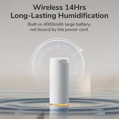 Small Humidifiers 500ml Desk Humidifier Night Light Function